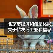 北京市经济和信息化局关于转发《工业和信息化部办公厅 市场监管总局办公厅关于开展2023年度智能制造系统解决方案揭榜挂帅项目申报工作的通知》的通知(图3)