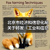 北京市经济和信息化局关于转发《工业和信息化部办公厅 市场监管总局办公厅关于开展2023年度智能制造系统解决方案揭榜挂帅项目申报工作的通知》的通知(图2)