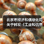 北京市经济和信息化局关于转发《工业和信息化部办公厅 市场监管总局办公厅关于开展2023年度智能制造系统解决方案揭榜挂帅项目申报工作的通知》的通知(图1)