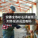 安徽全椒砂石项目首次对外发运成品骨料(图1)