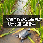 安徽全椒砂石项目首次对外发运成品骨料(图4)