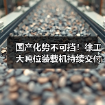 国产化势不可挡！徐工大吨位装载机持续交付东北(图3)