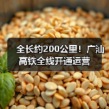 全长约200公里!广汕高铁全线开通运营(图2) 全长约200公里!广汕高铁全线开通运营(图2)
