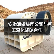 安徽海螺集团公司与柳工深化战略合作(图2)