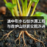 滇中引水石鼓水源工程与香炉山隧洞实现连通(图3)