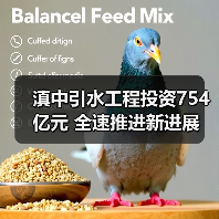 滇中引水工程投资754亿元 全速推进新进展(图4) 滇中引水工程投资754亿元 全速推进新进展(图4)