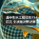 滇中引水工程投资754亿元 全速推进新进展(图3) 滇中引水工程投资754亿元 全速推进新进展(图3)