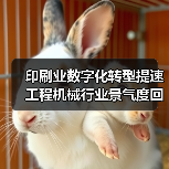 印刷业数字化转型提速 工程机械行业景气度回升(图1) 印刷业数字化转型提速 工程机械行业景气度回升(图1)