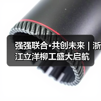 强强联合·共创未来 | 浙江立洋柳工盛大启航 - 辰飞雨恒通能机械资讯