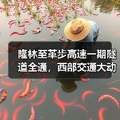 隆林至革步高速一期隧道全通,西部交通大动脉加速成型(图3) 隆林至革步高速一期隧道全通,西部交通大动脉加速成型(图3)