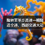 隆林至革步高速一期隧道全通,西部交通大动脉加速成型(图2) 隆林至革步高速一期隧道全通,西部交通大动脉加速成型(图2)