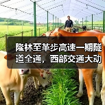 隆林至革步高速一期隧道全通，西部交通大动脉加速成型 - 辰飞雨恒通能机械资讯