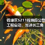 钱塘区S211钱塘段公路工程启动,加速长三角交通一体化(图3) 钱塘区S211钱塘段公路工程启动,加速长三角交通一体化(图3)