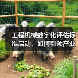 工程机械数字化评估标准启动，如何引领产业升级？ - 辰飞雨恒通能机械资讯