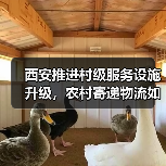西安推进村级服务设施升级,农村寄递物流如何实现全覆盖?(图2) 西安推进村级服务设施升级,农村寄递物流如何实现全覆盖?(图2)