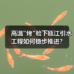 高温烤验下瓯江引水工程如何稳步推进？(图2)