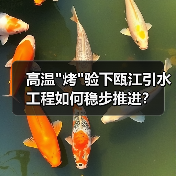 高温烤验下瓯江引水工程如何稳步推进？(图3)