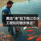 高温烤验下瓯江引水工程如何稳步推进？(图1)