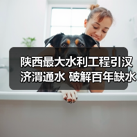 陕西最大水利工程引汉济渭通水 破解百年缺水难题(图4)