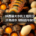 陕西最大水利工程引汉济渭通水 破解百年缺水难题(图3)