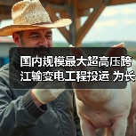 国内规模最大超高压跨江输变电工程投运 为长三角夏季电力供应提供保障(图4) 国内规模最大超高压跨江输变电工程投运 为长三角夏季电力供应提供保障(图4)