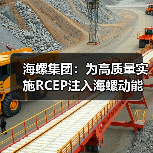 海螺集团:为高质量实施RCEP注入海螺动能(图3) 海螺集团:为高质量实施RCEP注入海螺动能(图3)