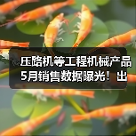 压路机等工程机械产品5月销售数据曝光!出口增长与国内需求分化(图3) 压路机等工程机械产品5月销售数据曝光!出口增长与国内需求分化(图3)