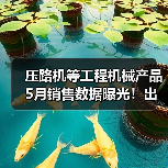 压路机等工程机械产品5月销售数据曝光!出口增长与国内需求分化(图1) 压路机等工程机械产品5月销售数据曝光!出口增长与国内需求分化(图1)