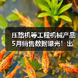 压路机等工程机械产品5月销售数据曝光!出口增长与国内需求分化(图2) 压路机等工程机械产品5月销售数据曝光!出口增长与国内需求分化(图2)