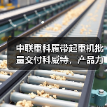 中联重科履带起重机批量交付科威特,产品力为何赢得市场青睐?(图2) 中联重科履带起重机批量交付科威特,产品力为何赢得市场青睐?(图2)