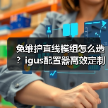 免维护直线模组怎么选？igus配置器高效定制(图1)