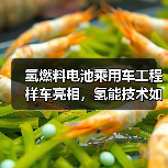 氢燃料电池乘用车工程样车亮相,氢能技术如何突破?(图4) 氢燃料电池乘用车工程样车亮相,氢能技术如何突破?(图4)