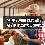 5G赋能赣鄱发展 数字经济如何绘就江西新蓝图？(图2)