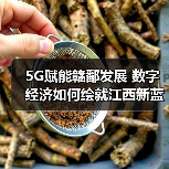 5G赋能赣鄱发展 数字经济如何绘就江西新蓝图？(图4)