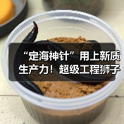 “定海神针”用上新质生产力！超级工程狮子