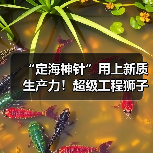 “定海神针”用上新质生产力！超级工程狮子洋大桥东西锚碇全部封底(图3)