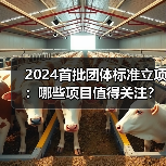 2024首批团体标准立项：哪些项目值得关注？(图3)
