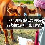 1-11月船舶电力机械运行数据分析：出口