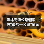 隆林高速公路通车，打破