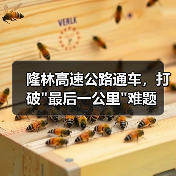 隆林高速公路通车，打破最后一公里难题(图2)