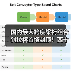 国内最大跨度梁桁组合斜拉桥首塔封顶！西十高铁提速在即(图4)