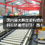 国内最大跨度梁桁组合斜拉桥首塔封顶！西十高铁提速在即(图3)