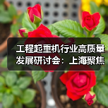 工程起重机行业高质量发展研讨会:上海聚焦市场问题与国际标准(图1) 工程起重机行业高质量发展研讨会:上海聚焦市场问题与国际标准(图1)