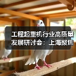 工程起重机行业高质量发展研讨会:上海聚焦市场问题与国际标准(图4) 工程起重机行业高质量发展研讨会:上海聚焦市场问题与国际标准(图4)
