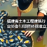 福建省土木工程建筑行业协会13项团体标准立项 桩板结构与装配式建筑新规启航(图1) 福建省土木工程建筑行业协会13项团体标准立项 桩板结构与装配式建筑新规启航(图1)