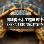 福建省土木工程建筑行业协会13项团体标准立项 桩板结构与装配式建筑新规启航(图4) 福建省土木工程建筑行业协会13项团体标准立项 桩板结构与装配式建筑新规启航(图4)