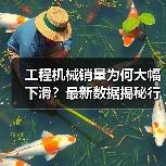 工程机械销量为何大幅下滑?最新数据揭秘行业现状(图1) 工程机械销量为何大幅下滑?最新数据揭秘行业现状(图1)