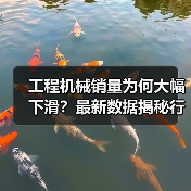 工程机械销量为何大幅下滑?最新数据揭秘行业现状(图4) 工程机械销量为何大幅下滑?最新数据揭秘行业现状(图4)