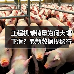 工程机械销量为何大幅下滑?最新数据揭秘行业现状(图3) 工程机械销量为何大幅下滑?最新数据揭秘行业现状(图3)