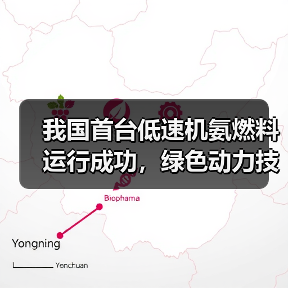 我国首台低速机氨燃料运行成功,绿色动力技术验证突破(图3) 我国首台低速机氨燃料运行成功,绿色动力技术验证突破(图3)